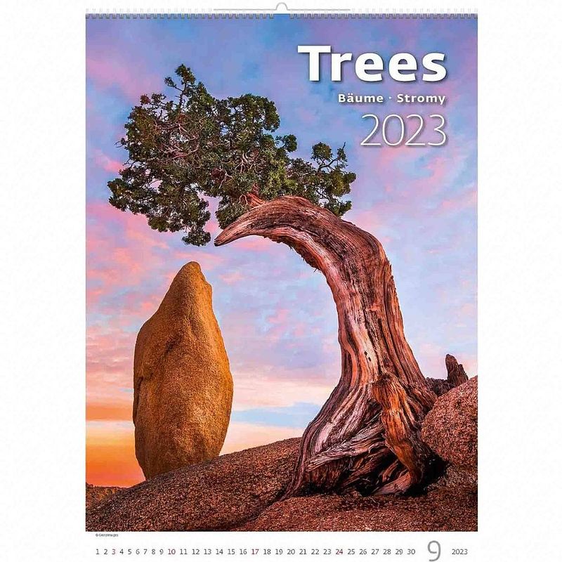 Foto van Bomen - trees kalender 2023