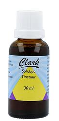 Foto van Clark solidago tinctuur