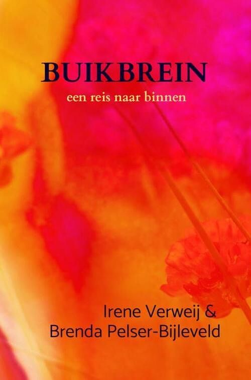 Foto van Buikbrein - irene verweij - paperback (9789403662558)