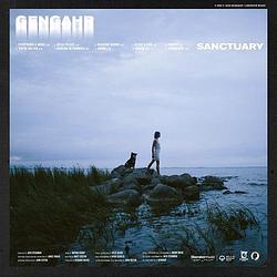 Foto van Sanctuary - lp (9341004069633)