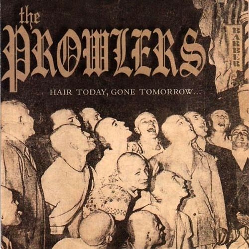 Foto van Hair today, gone tomorrow - lp (4260037288161)