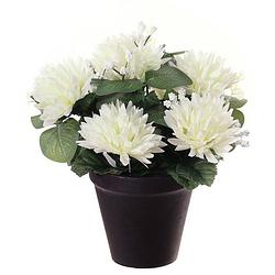 Foto van Louis maes kunstbloemen plant in pot - witte tinten - 23 cm - bloemenstuk ornament - kunstbloemen