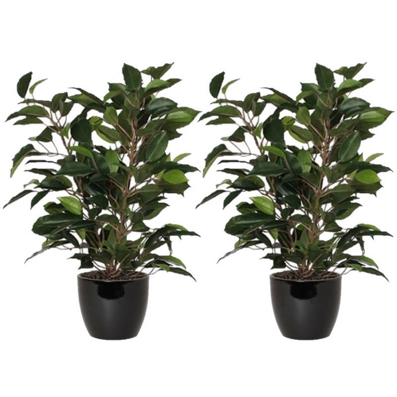 Foto van 2x stuks groene ficus kunstplant 40 cm met plantenpot zwart d13.5 en h12.5 cm - kunstplanten