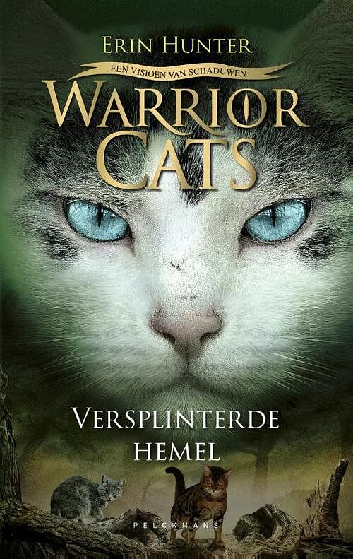 Foto van Warrior cats - een visioen van schaduwen: versplinterde hemel - erin hunter - hardcover (9789463373364)