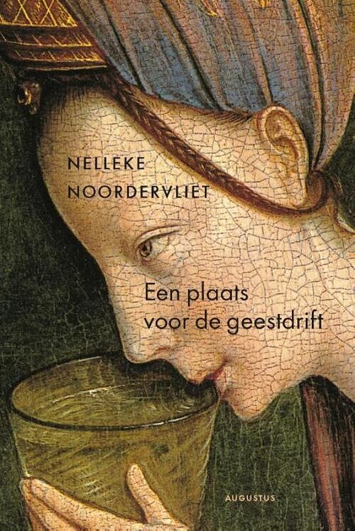 Foto van Een plaats voor de geestdrift - nelleke noordervliet - ebook (9789045705781)