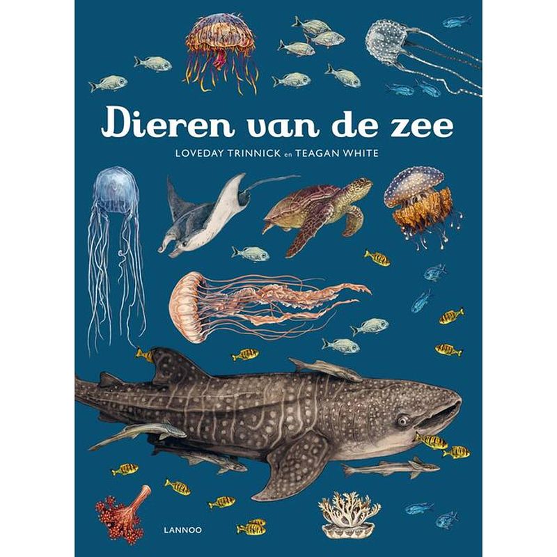 Foto van Dieren van de zee