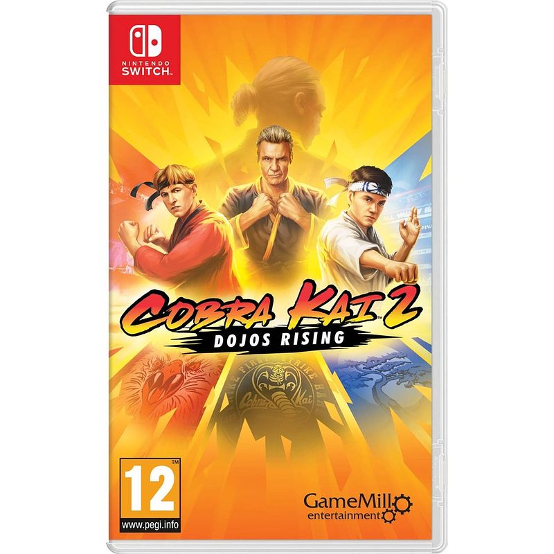 Foto van Cobra kai 2: dojos rising - nintendo switch