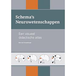 Foto van Schema's neurowetenschappen