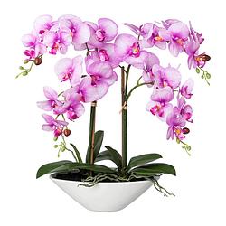 Foto van Kopu® kunstbloem orchidee 53 cm roze met schaal ovaal - phalenopsis