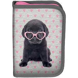 Foto van Studio pets puppy glasses - leeg etui - 19.5 cm - multi