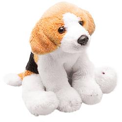 Foto van Pluche knuffel dieren beagle hond 13 cm - knuffel huisdieren