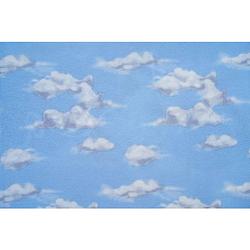 Foto van Zydante swisstech® - overtrek - tcc - cloudy sky - 140x200/220 + 1*60x70 cm