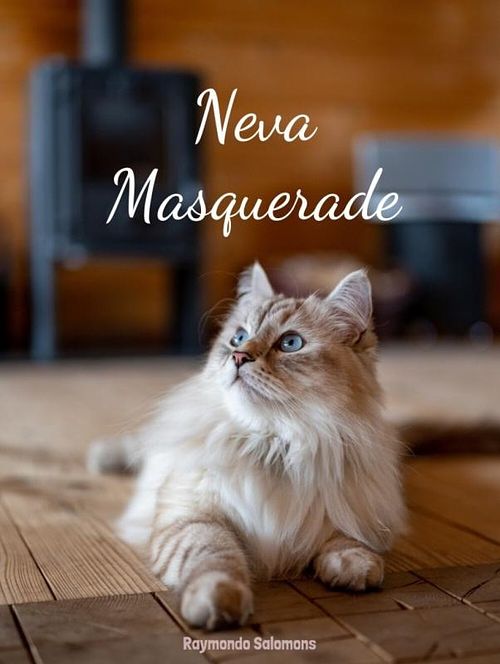 Foto van Neva masquerade - raymondo salomons - ebook