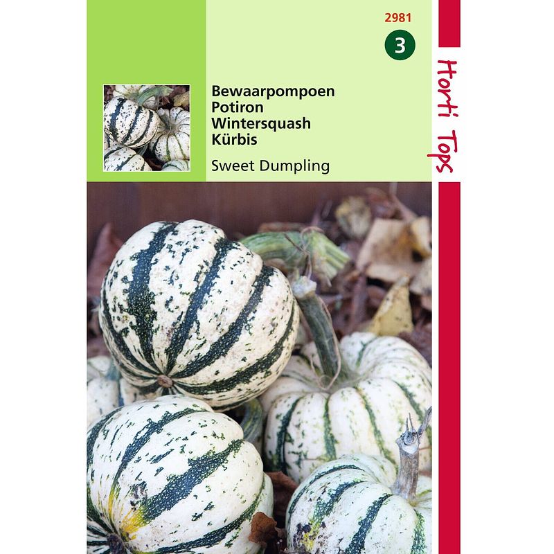 Foto van Hortitops - 2 stuks ht bewaar pompoen sweet dumpling (wintersquash)