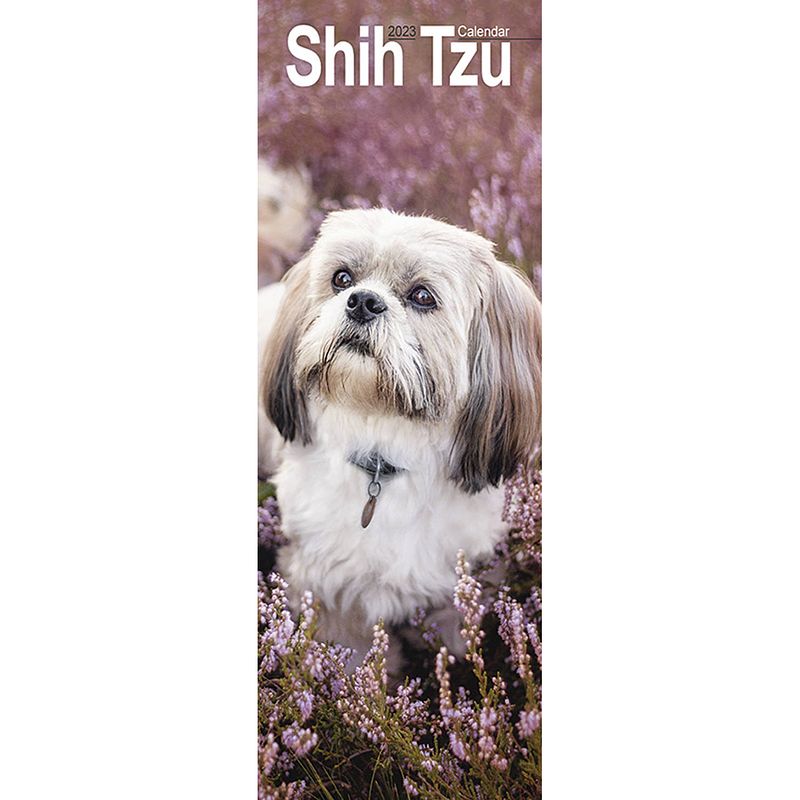 Foto van Shih tzu kalender 2023 slimline