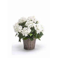 Foto van Kunstplant witte hortensia in mand 45 cm