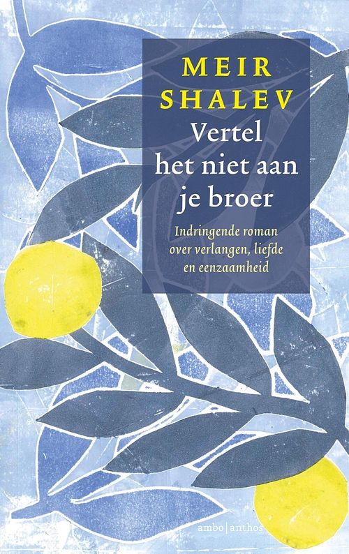 Foto van Vertel het niet aan je broer - meir shalev - ebook