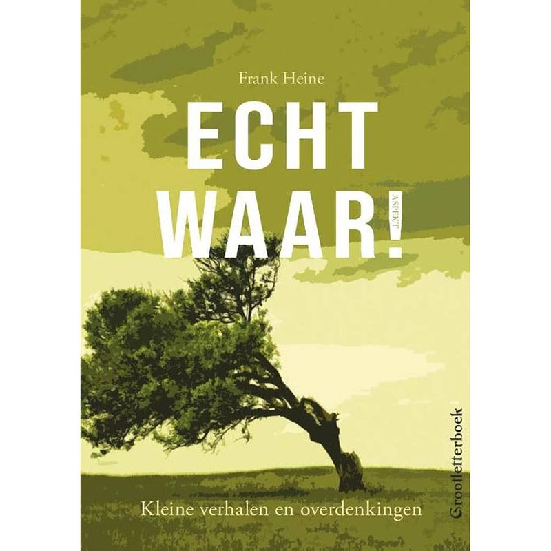 Foto van Echt waar! - grootletterboek