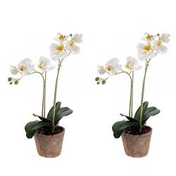 Foto van Set van 2x stuks kunstplanten orchidee wit 42 cm in pot - kunstplanten