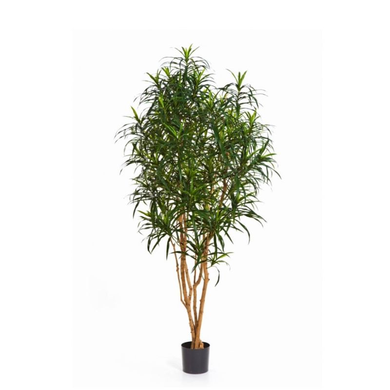 Foto van Kunstplant dracaena anita - 150 cm