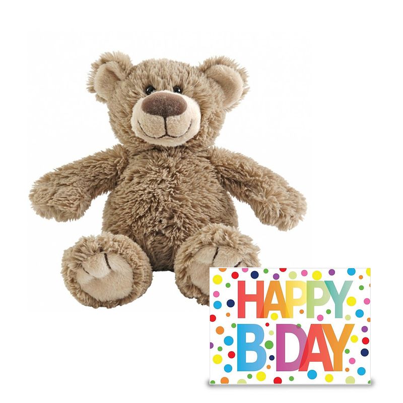Foto van Knuffel beer cadeau sturen met xl wenskaart - beer 22 cm en happy birthday kaart - knuffelberen