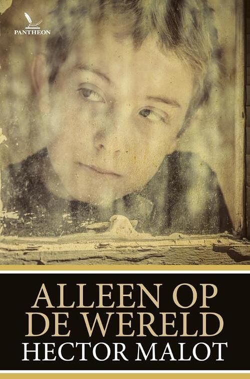 Foto van Alleen op de wereld - hector malot - ebook (9789049901622)