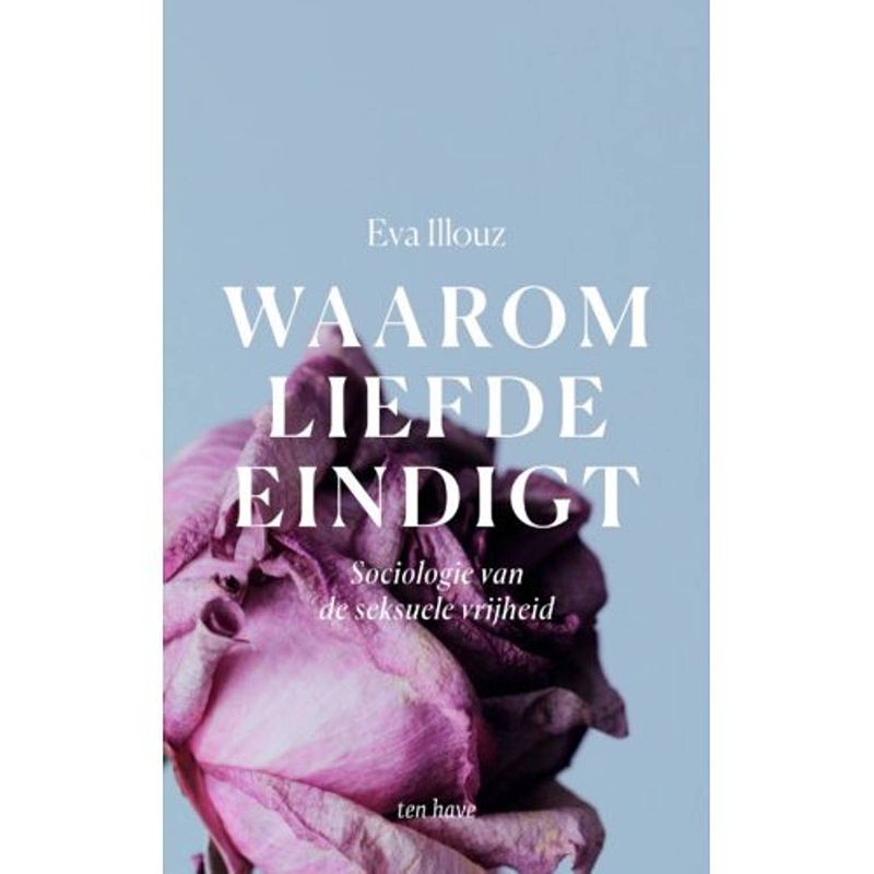 Foto van Waarom liefde eindigt