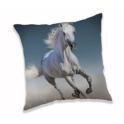 Foto van Animal pictures kussen white horse - 40 x 40 cm - polyester