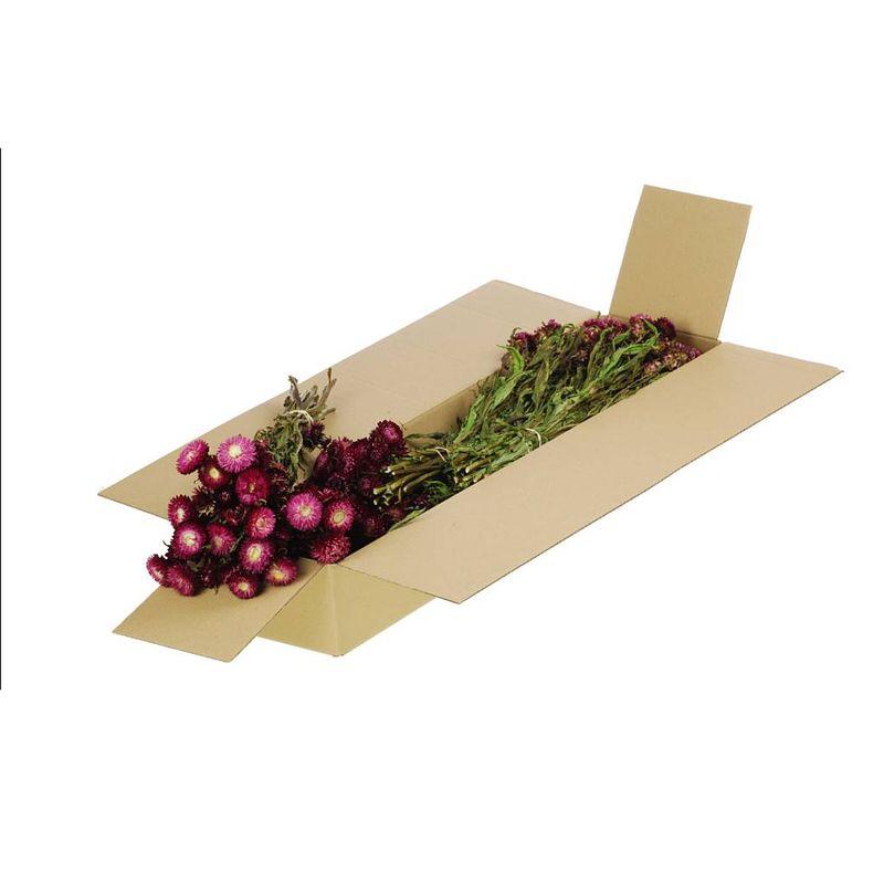 Foto van Packlinq gedroogde bloemen natuurlijk donker roze helichrysum (1 bundel)