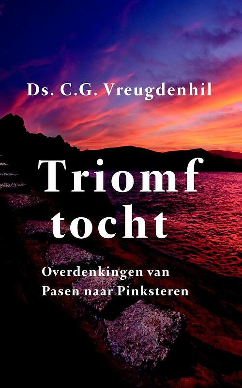 Foto van Triomftocht - c.g. vreugdenhil - ebook (9789088652783)