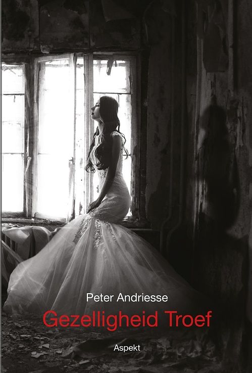 Foto van Gezelligheid troef - peter andriesse - ebook