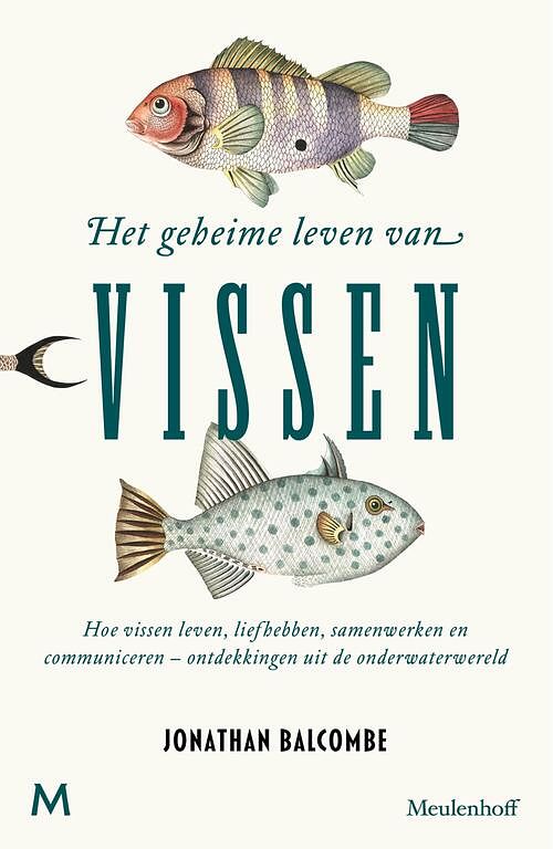 Foto van Het geheime leven van vissen - jonathan balcombe - ebook (9789402310504)