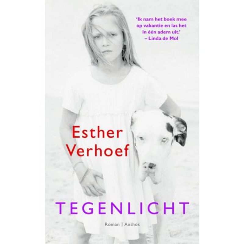 Foto van Tegenlicht