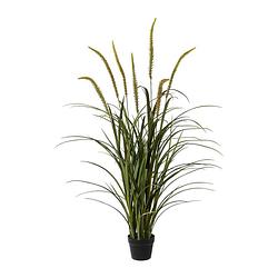 Foto van Kopu® kunstplant miscanthus 135 cm - 7 pluimen - in zwarte pot