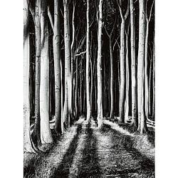Foto van Wizard+genius ghost forest vlies fotobehang 192x260cm 4-banen