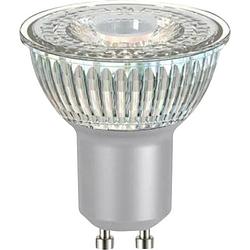 Foto van Lightme lm85115 led-lamp energielabel f (a - g) gu10 reflector 3.6 w = 40 w warmwit (ø x l) 50 mm x 54 mm 1 stuk(s)