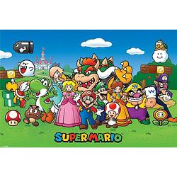 Foto van Pyramid super mario characters poster 91,5x61cm