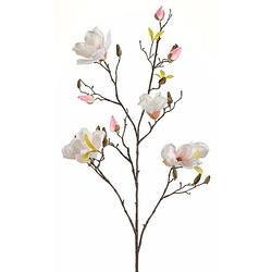 Foto van Kunstbloem magnolia tak 105 cm creme wit/roze - kunstbloemen