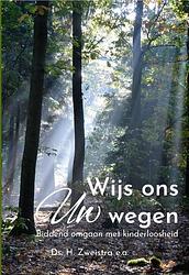 Foto van Wijs ons uw wegen - h. zweistra - hardcover (9789087188252)