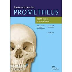 Foto van Hoofd, hals en neuroanatomie - prometheu