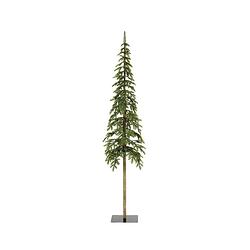 Foto van Everlands - alpine fir d30h120 cm groen kerst