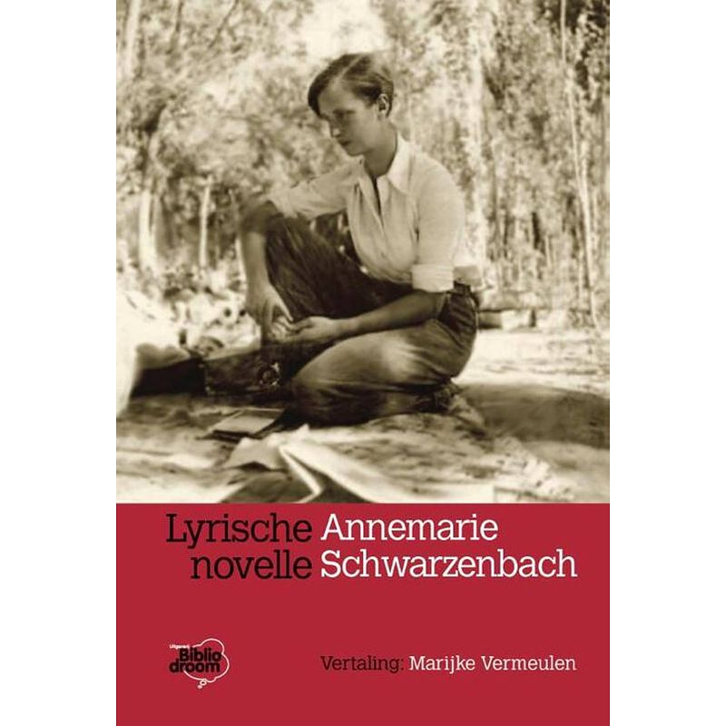 Foto van Lyrische novelle