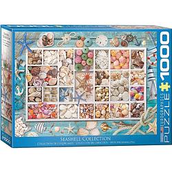 Foto van Eurographics puzzel seashell collection - 1000 stukjes