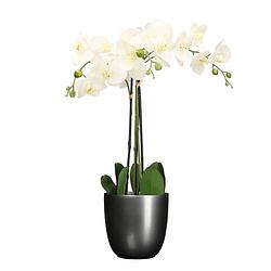 Foto van Orchidee kunstplant wit - 75 cm - inclusief bloempot titanium grijs glans - kunstplanten