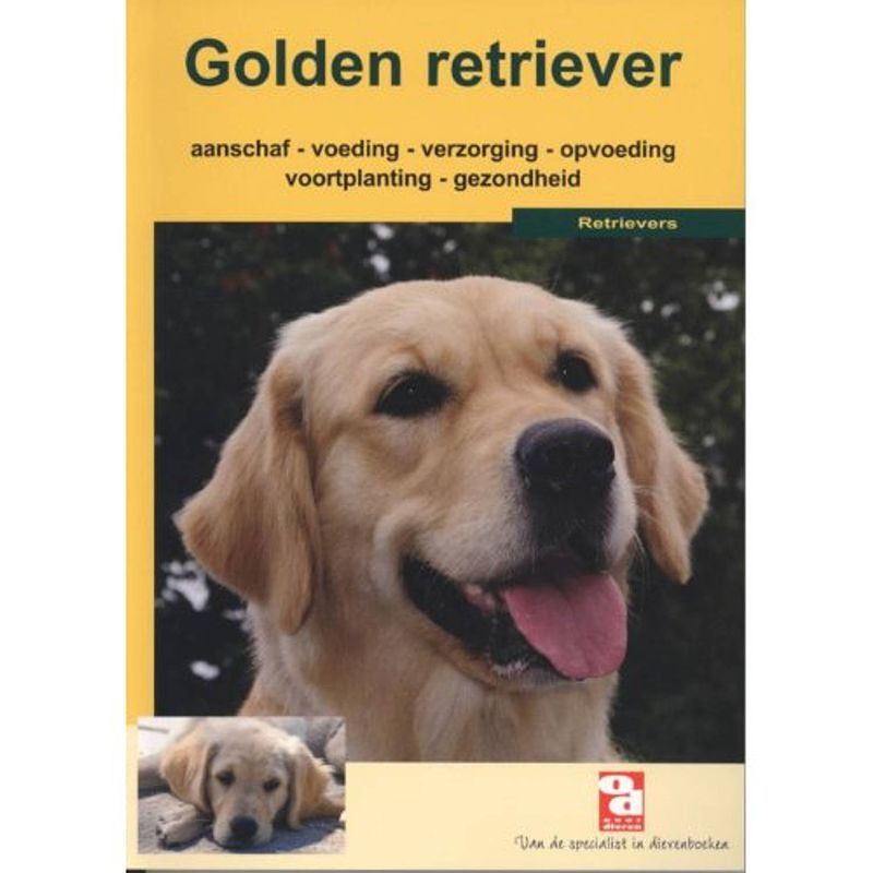 Foto van De golden retriever - over dieren