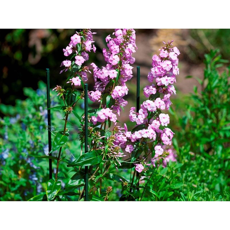 Foto van Nature - kunststof plantenstok h150cm dia. 11mm