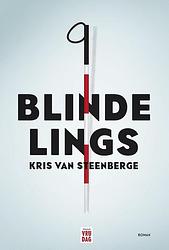 Foto van Blindelings - kris van steenberge - ebook (9789460014406)