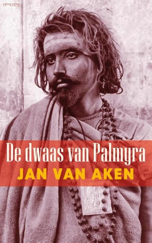 Foto van De dwaas van palmyra - jan van aken - ebook (9789044627787)