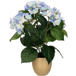 Foto van Hortensia kunstplant/kunstbloemen 40 cm - blauw - in pot mat goud - kunstplanten