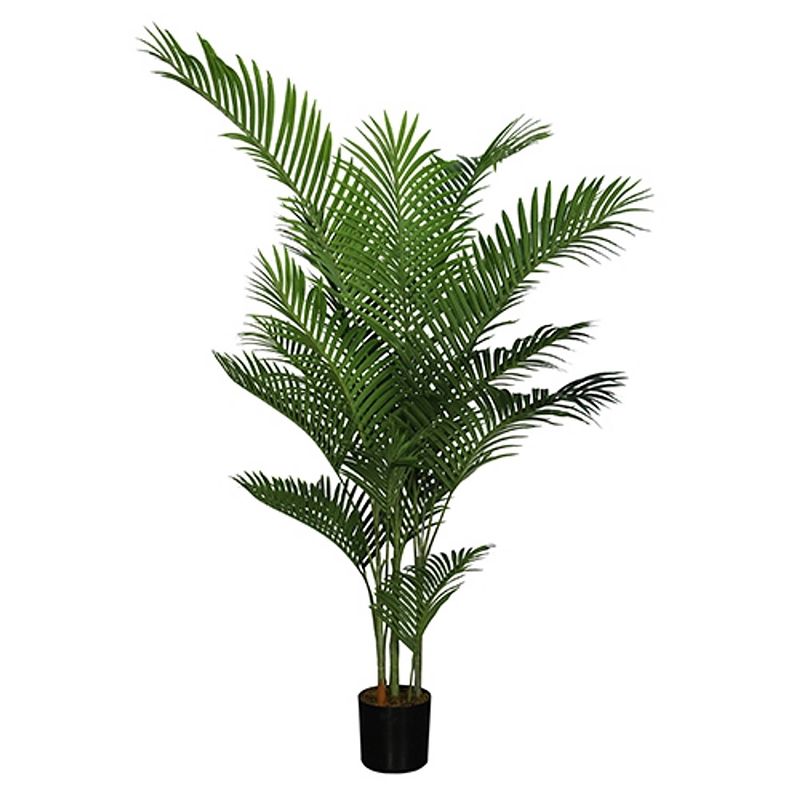 Foto van Areca palm 185 cm